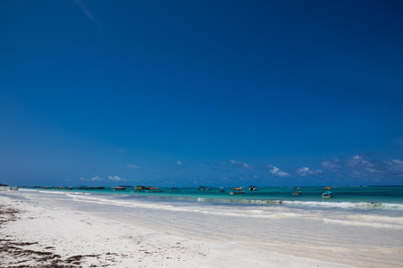 Tropical beach in Cayo Largo island, Cuba.の写真素材