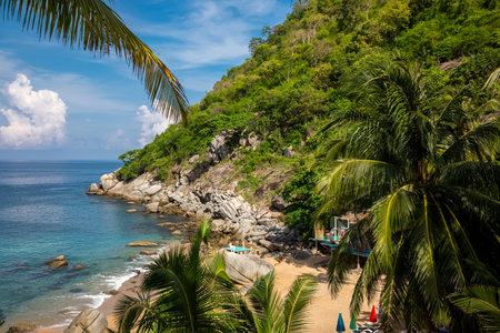 Tropical beach with palm trees in Koh Samui, Thailandの写真素材