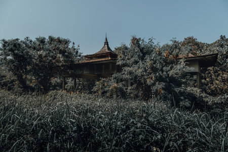 Abandoned old house in the jungle of Bagan, Myanmarの写真素材