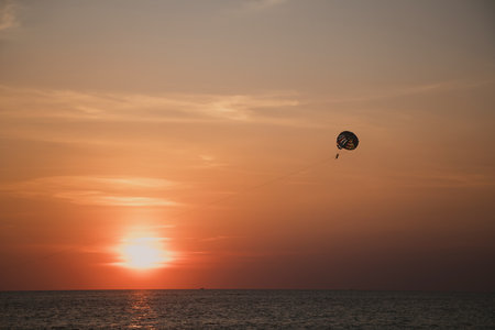 Silhouette of a kite flying over the sea at sunsetの写真素材
