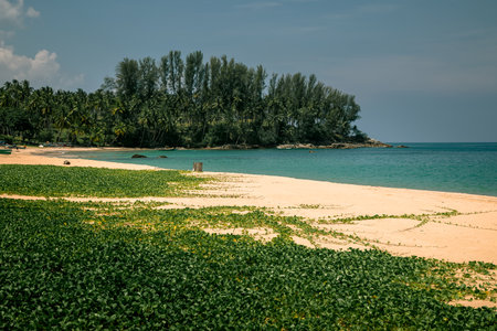 Beautiful tropical beach on Koh Samui island, Thailand. Landscape taken in summer.の写真素材