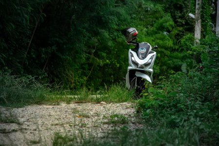 Motorcycle on the road in the forestの写真素材
