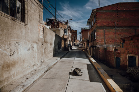 View of a street in a city.の写真素材