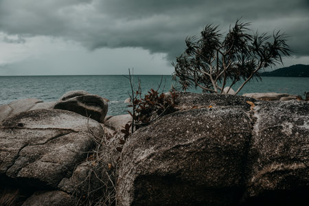 Rocky coast of peninsula Santubong. Borneo.の写真素材
