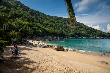 Tropical beach with palm trees and rocks in Koh Samui, Thailandの写真素材