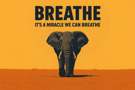 African elephant in the middle of the savannah. The text BREATH IS THE BACKGROUND.の素材