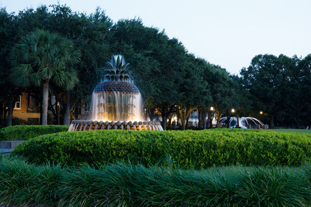 Charleston Pineapple fountainの写真素材