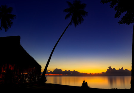 Tahiti sunset with palm treesの写真素材