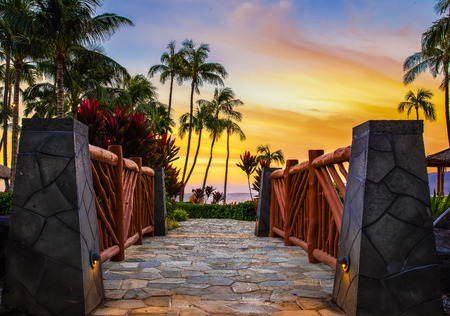 Hawaiian resort after sunsetの写真素材