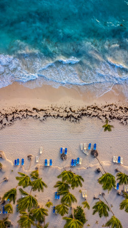 Aerial view of Bavaro Beach with waves and palms, Punta Cana, Dominican Republicの写真素材