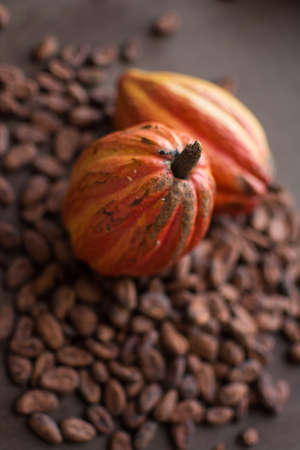 Cocoa fruit to make chocolate Cocoa beans.の写真素材