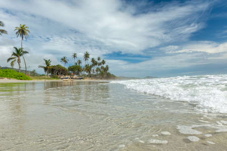 Tropical beach with palm trees. Coconut plants. Blue sea. Sand.