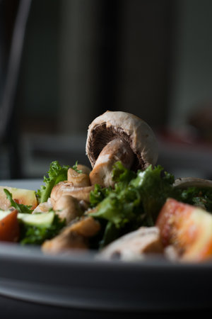 Mushrooms. Salad with mushrooms. Vegetarian food.の写真素材