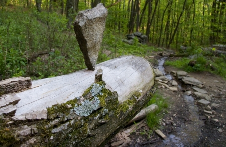 A balancing cairn on a dead treeの写真素材