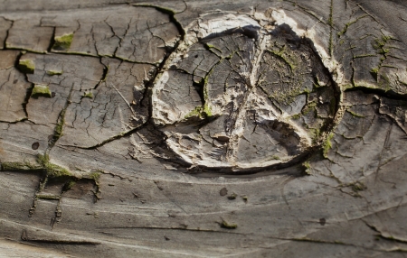 A peace formed on wood の写真素材