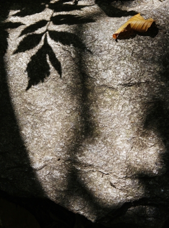 A natural abstract formed by  light and shadow on a rockの写真素材