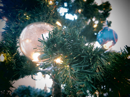 Decorative bulb hanging on a Christmas Treeの写真素材