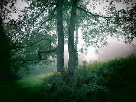 A foggy morning view in the Berkshire Mountains of Western Massachusetts.の写真素材