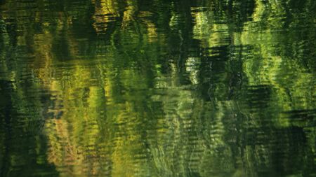 An abstract view of a forest canopy reflecting on lake water.    の写真素材