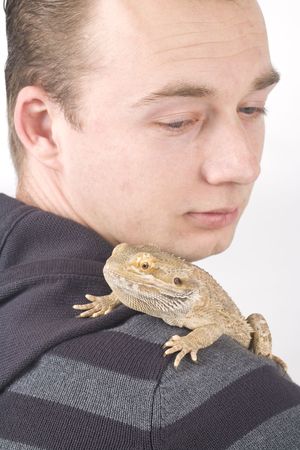 bearded dragon on shoulderの写真素材