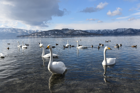 lake kusyaro in winterの写真素材