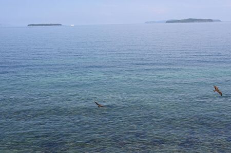 coastline at hagi in mid summer