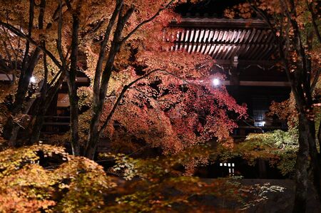 autumn leaves at kiyomizu bansyuの写真素材