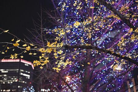umeda new street night viewの写真素材