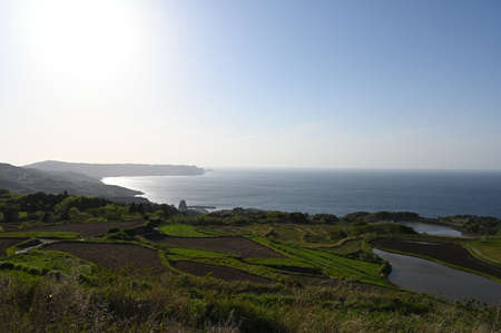 rice terraces togo