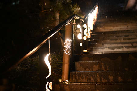 Bamboo Lighting