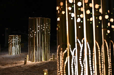 Bamboo Lighting