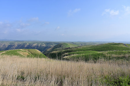 Landscape of grassland and blue sky, closeup of photoの写真素材