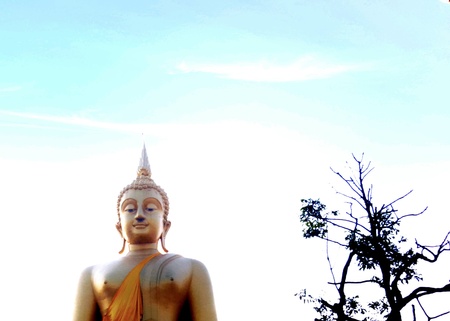 Golden buddhaの素材