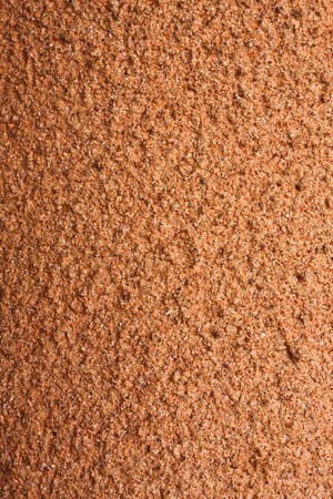 on the beachの写真素材