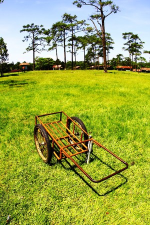 cart in the parkの写真素材