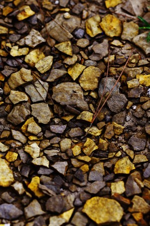 anny stonsの写真素材