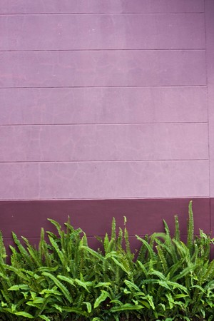 color wallの写真素材