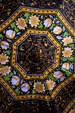 on the roofの写真素材