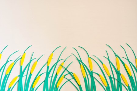 meadow to create on white backgroundの写真素材