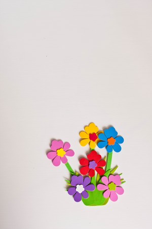 anny color flower on white backgroundの写真素材