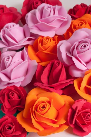 anny color flowerの写真素材