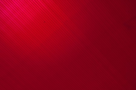 red backgroundの写真素材