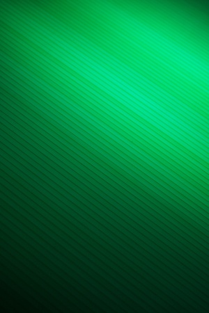 green backgroundの写真素材