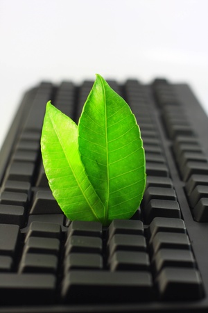 green on keyboardの写真素材