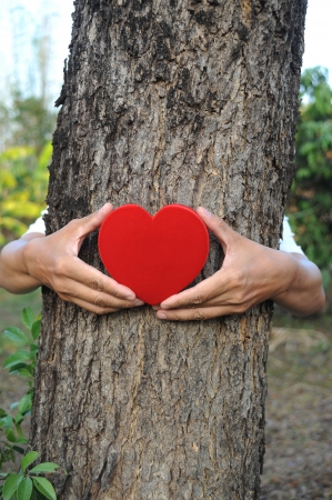 love treeの写真素材