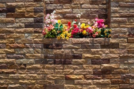 flower on the wallの写真素材