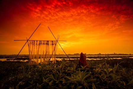 net with sunsetの写真素材