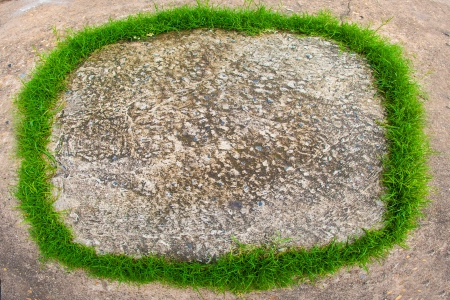 green frameの写真素材