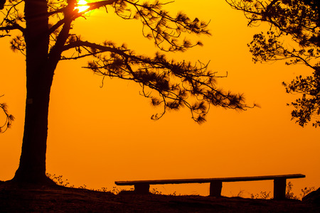 sunrise in the morningの写真素材