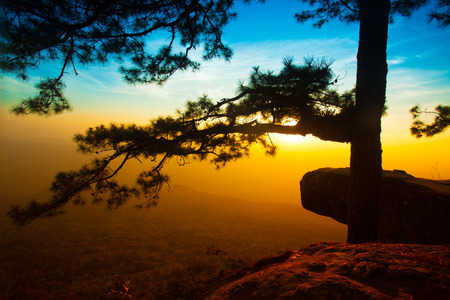 Scenic cliffs with evening light の写真素材